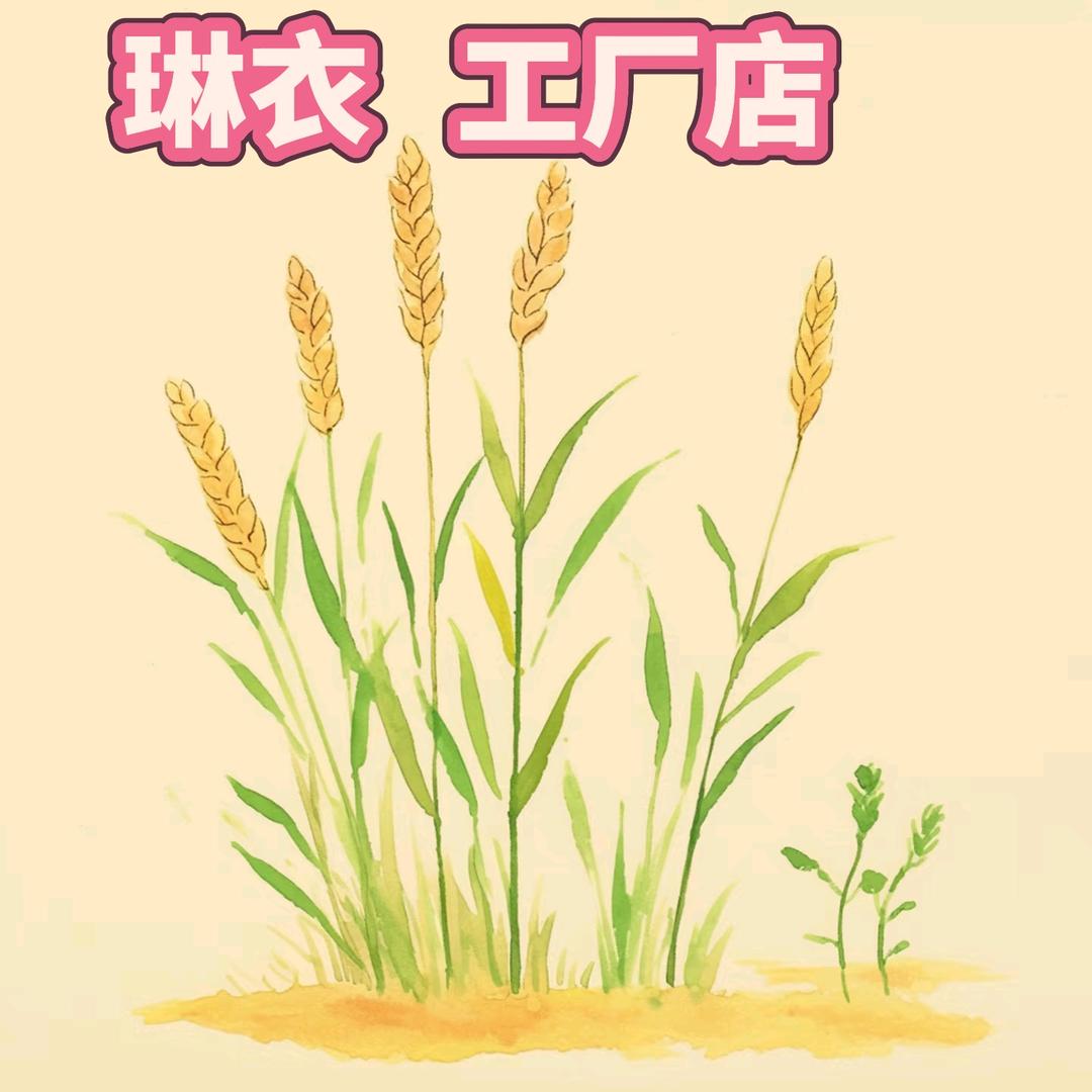 琳衣工厂店