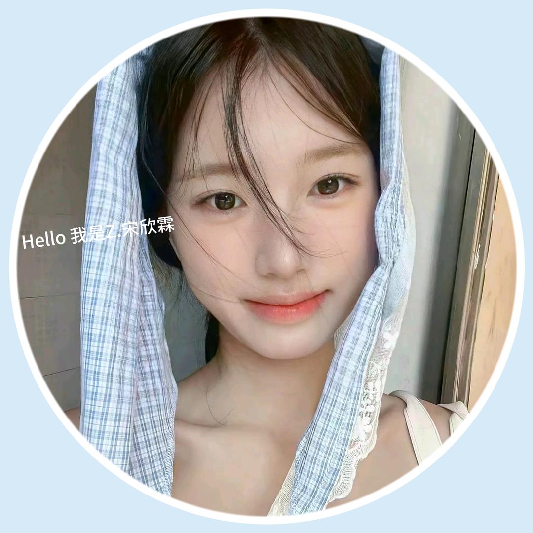 Z.宋欣霖