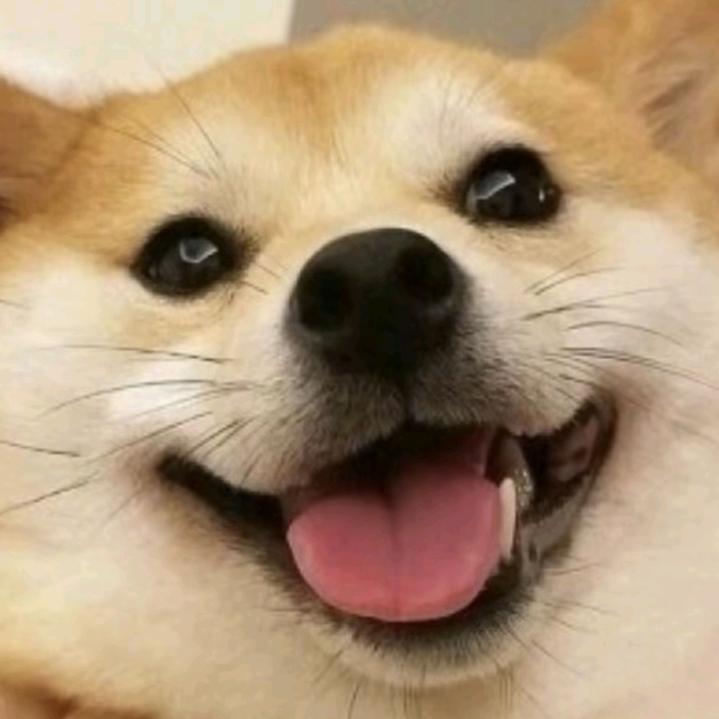 简单点，说话的方式简单点