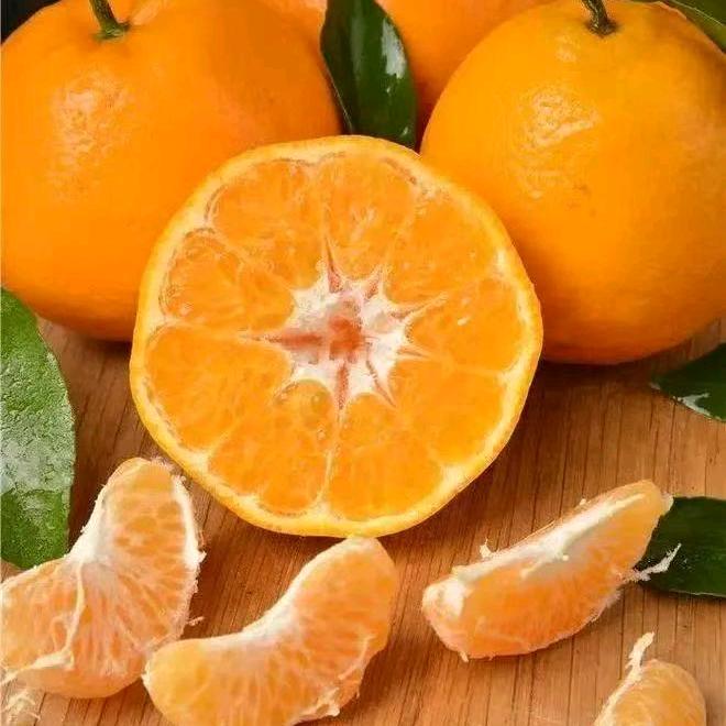 三秦农场-果蔬联盟008