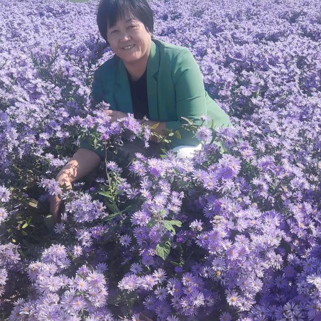 果实，团圆姥姥