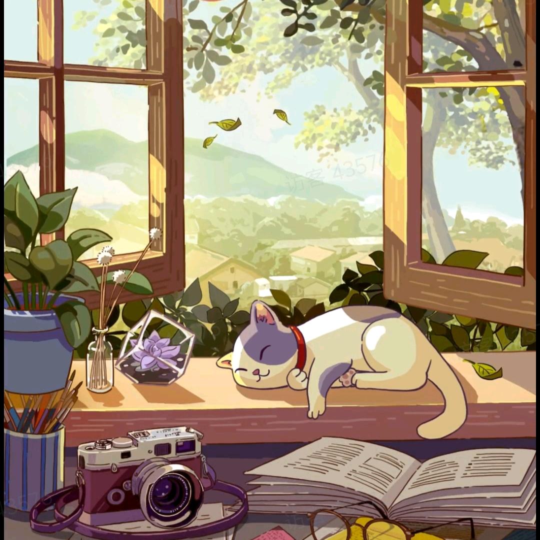 宅宅在家♥