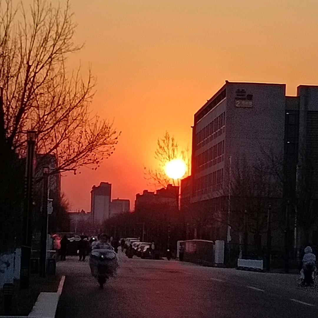 Ts不是糖醋