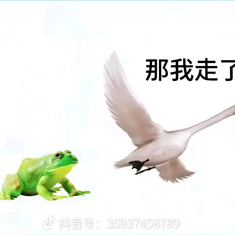 财富与自由