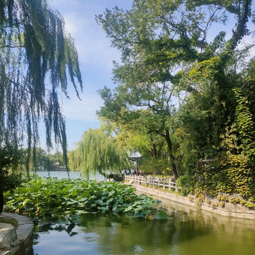 萍水相逢520@