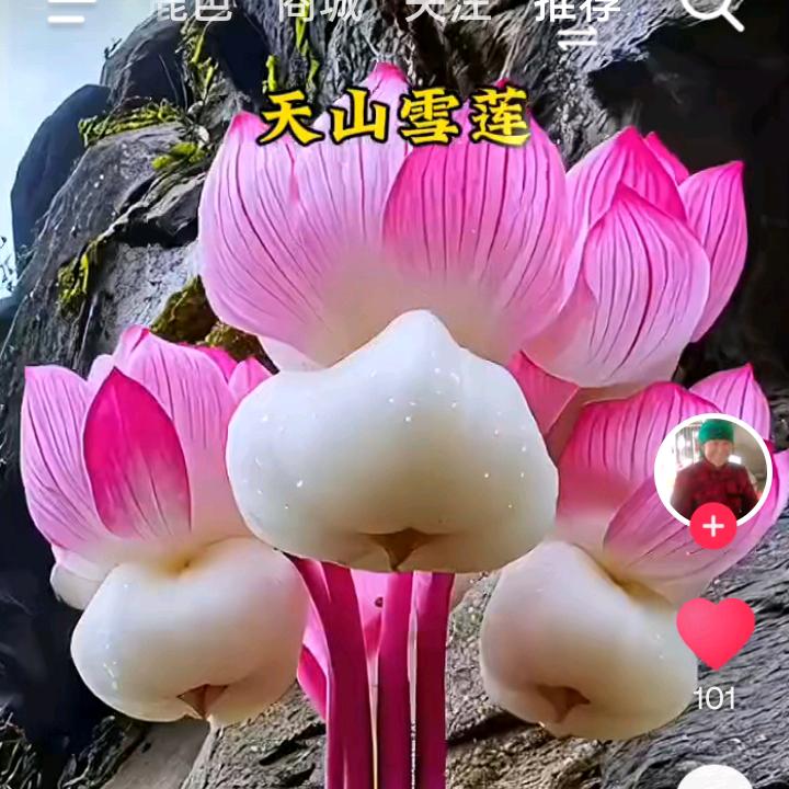 孤独一人