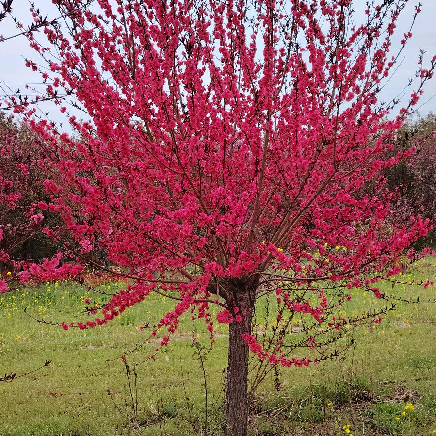 美好朋友一起笑