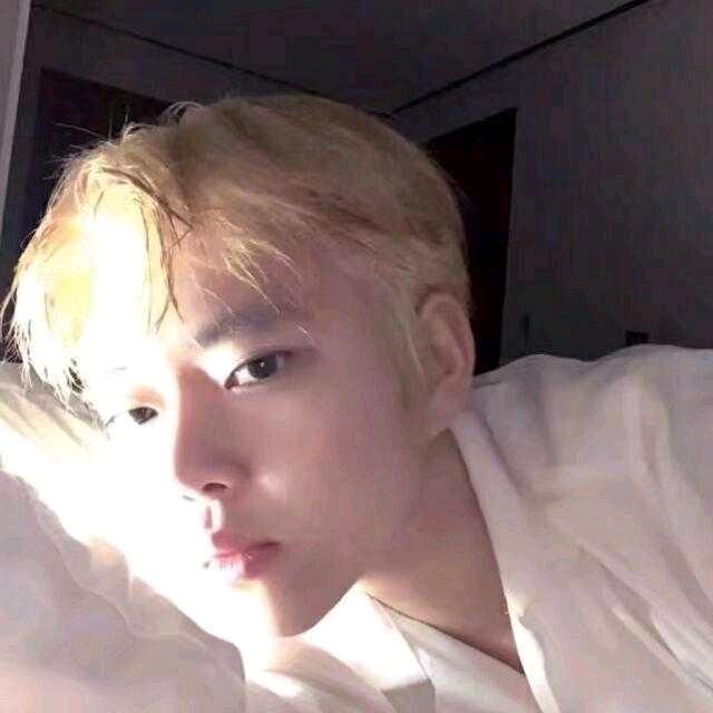 热心肠的网友