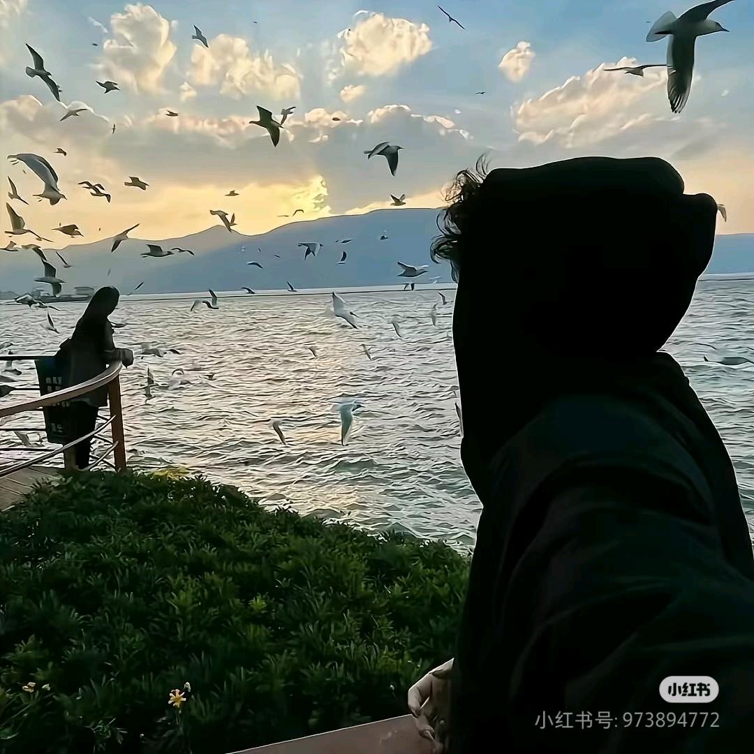 暮暮于归