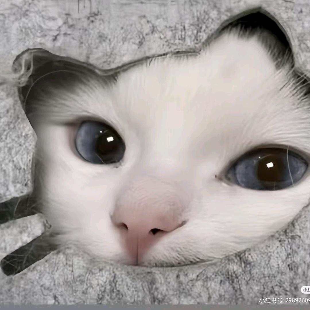 平平无奇potato🥔