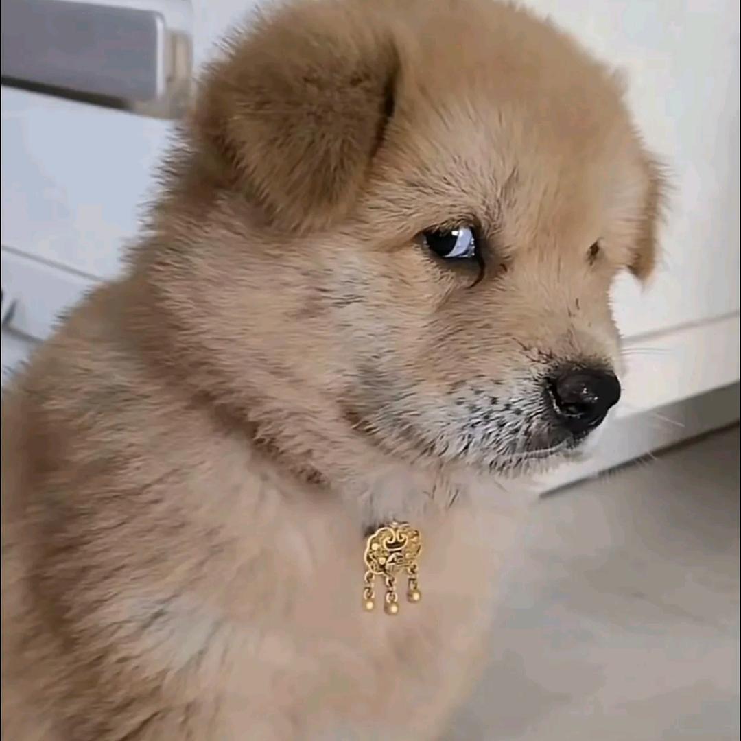 咖啡不加🍭