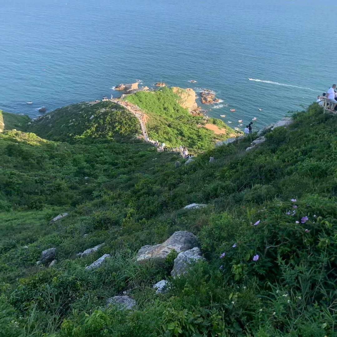 冥想空间场