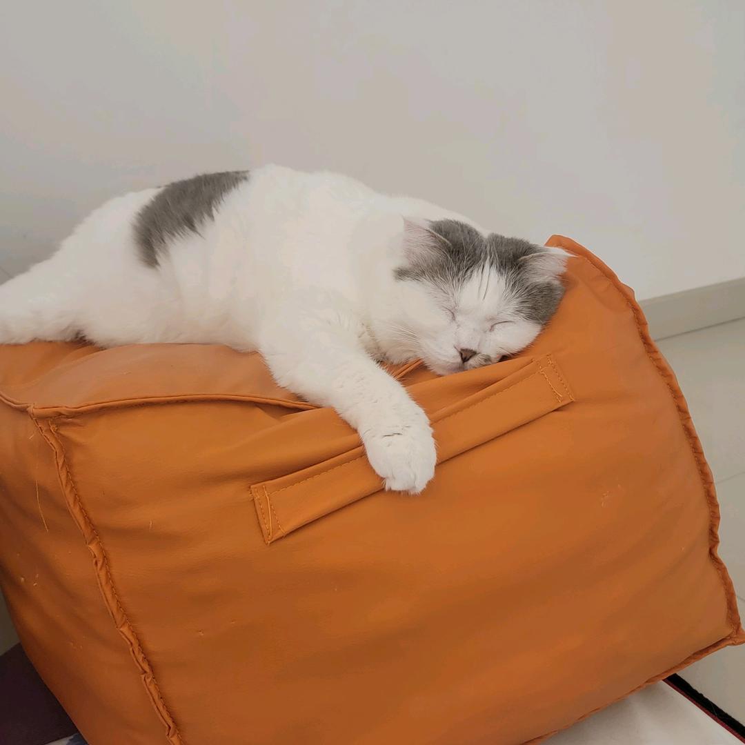 越来越好是真的