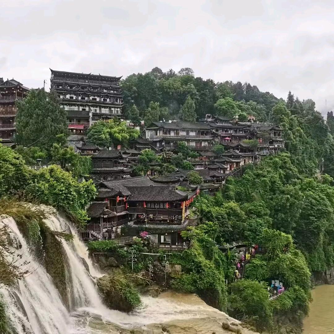 泉哥