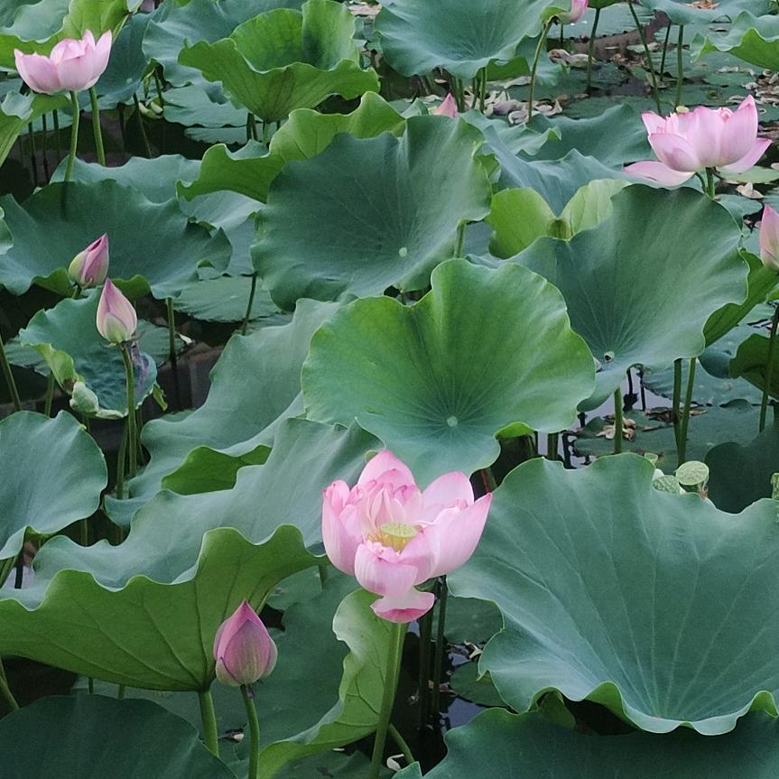 ꧔ꦿ᭄🥀晴空🌷ꦿ万里🌱᭄࿐💞