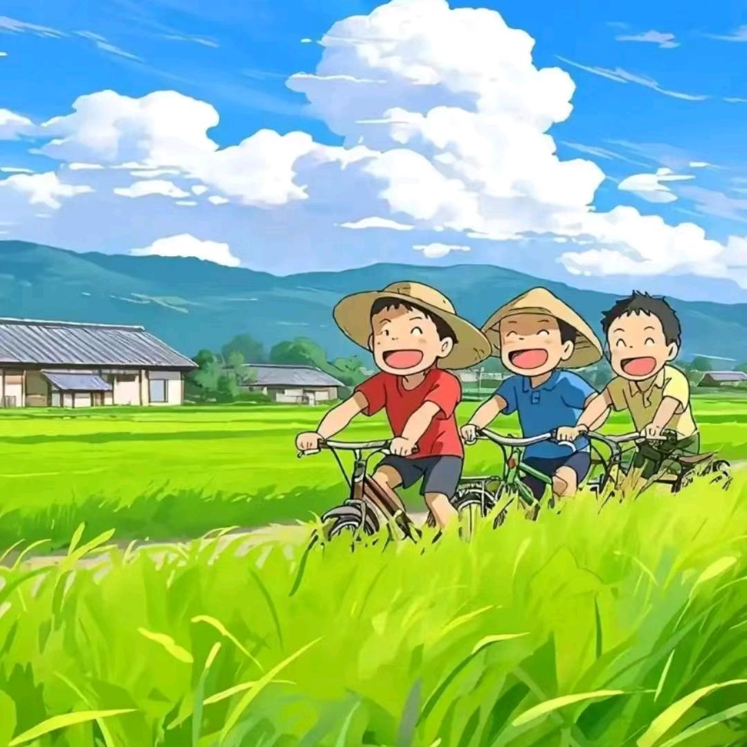 广东东莞市毛毛哥