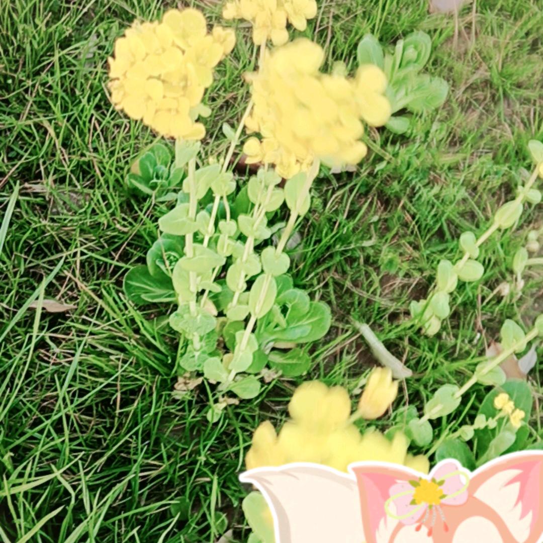 平平淡淡