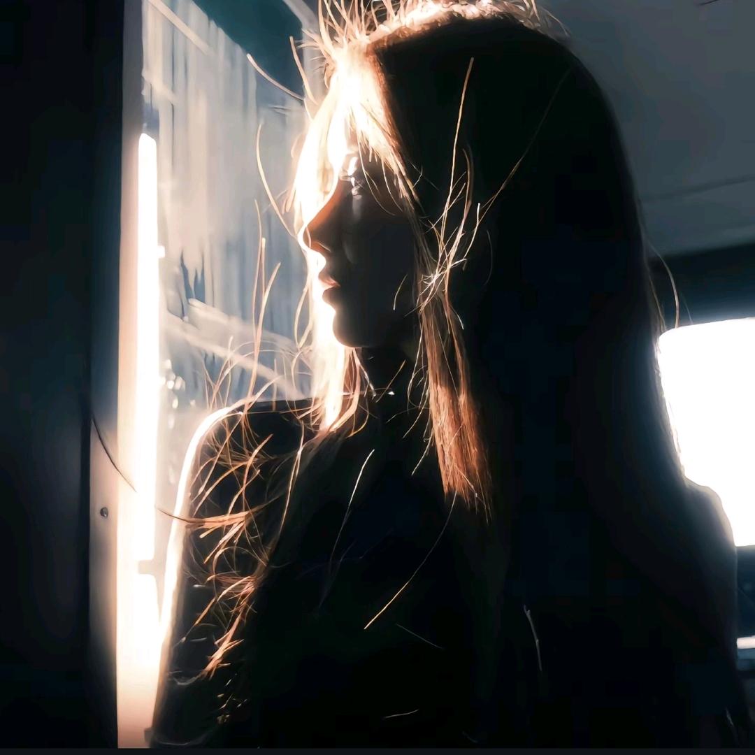 月亮上的垂耳兔⭐