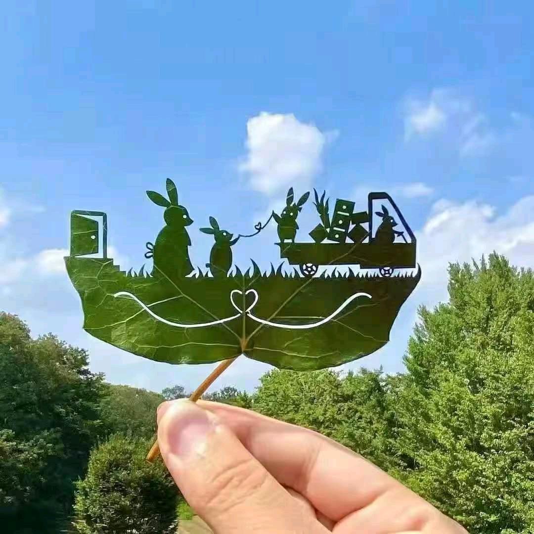 溪水涟漪（手机摄影）