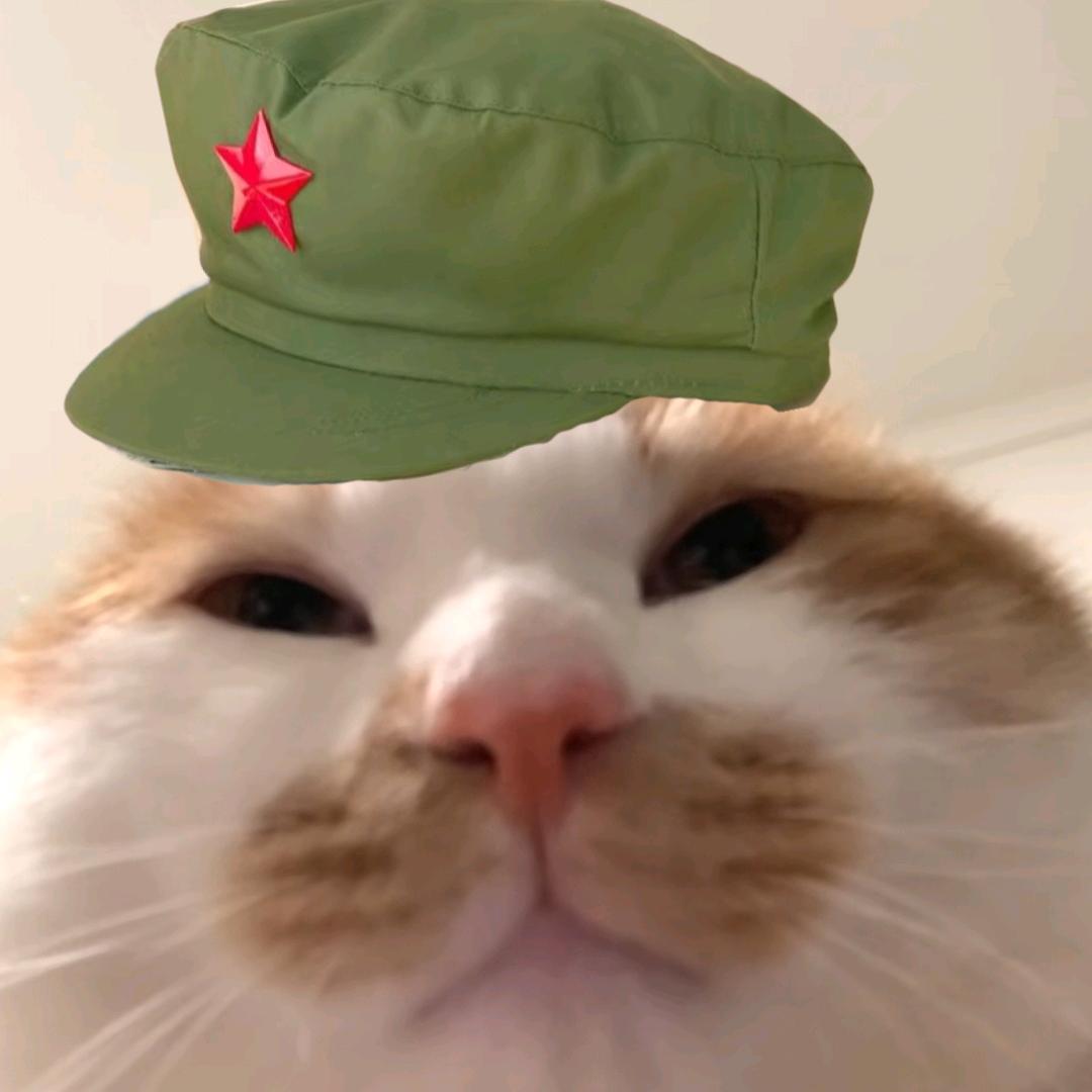 嘻嘻嘻嘻嘻嘻嘻嘻嘻嘻嘻嘻嘻嘻嘻老登出虚恭