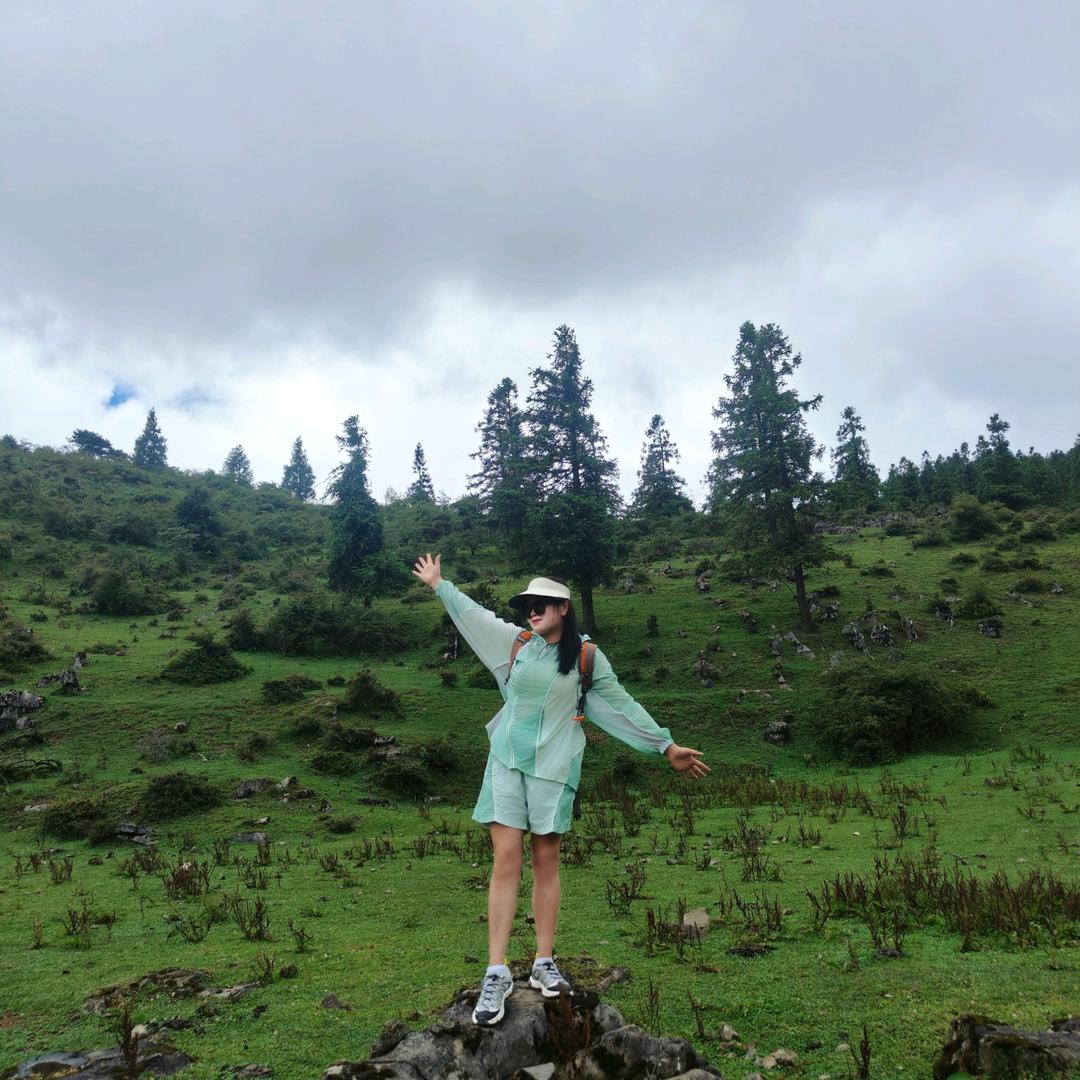 🍀文文👒