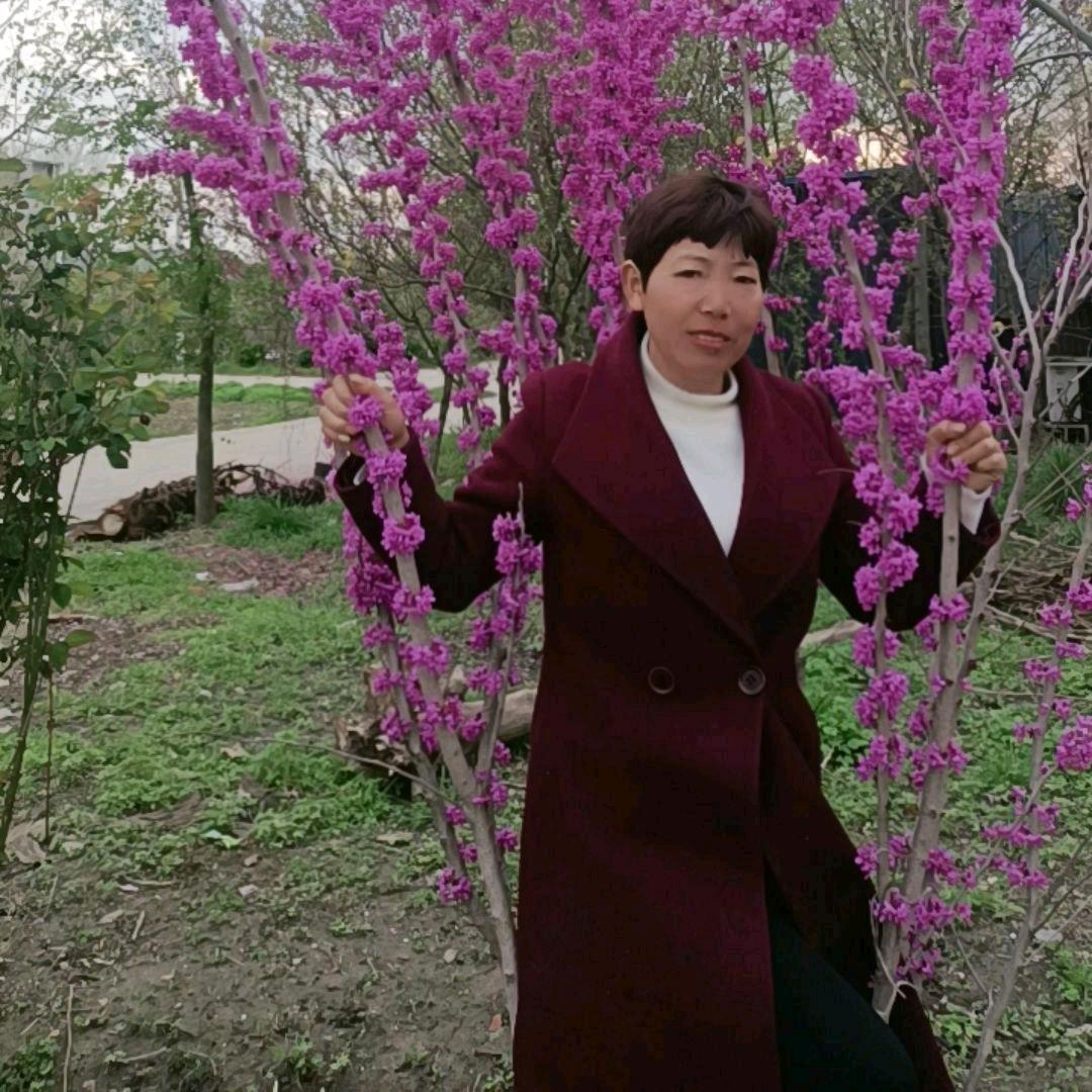人生如梦