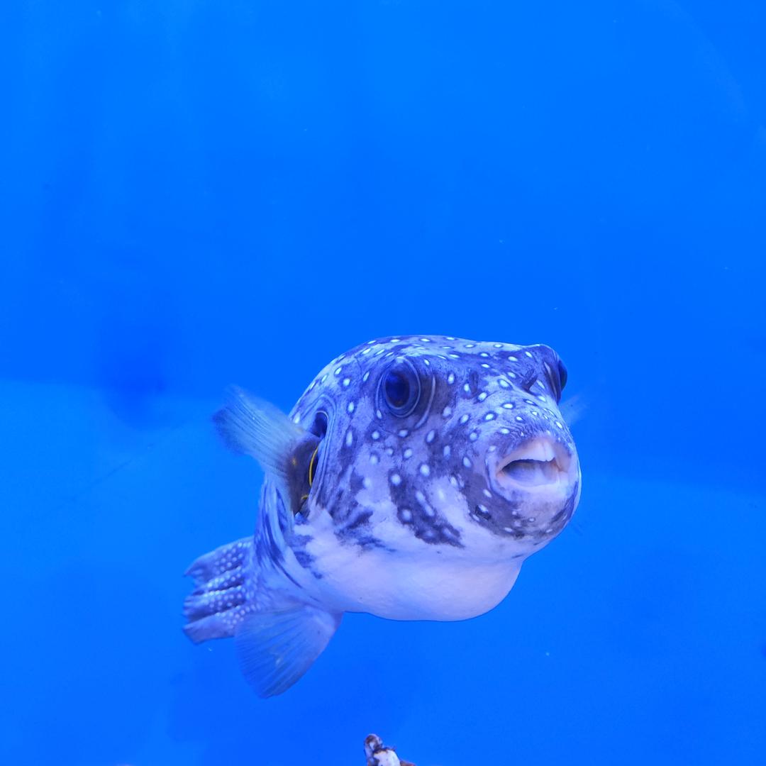 2580