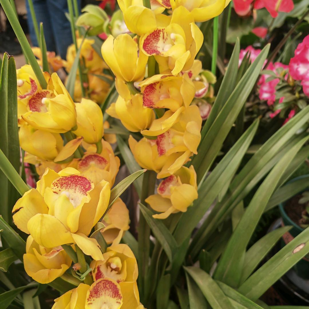 南阳市京宛红实业有限公司