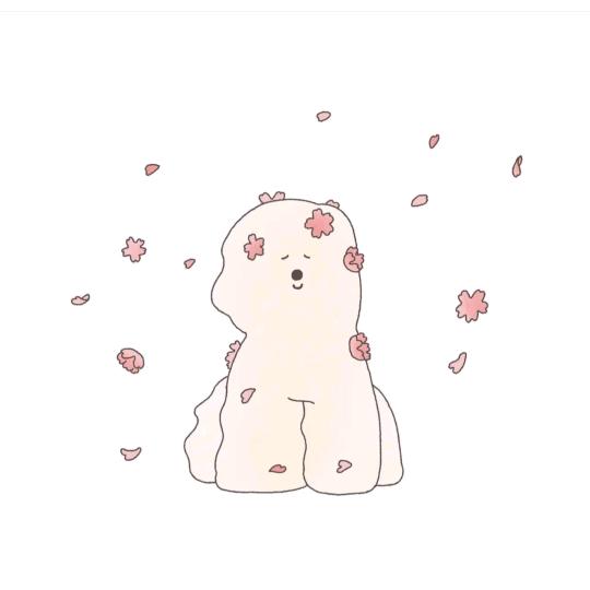 🐰禧宝汽车租赁-七七