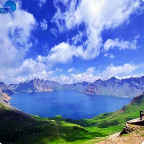 🌿素手医娘🌿