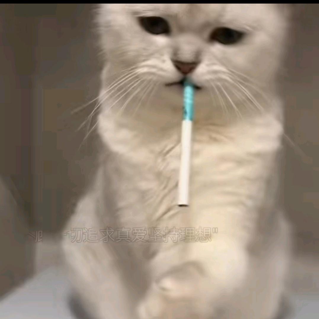 云刀剑·