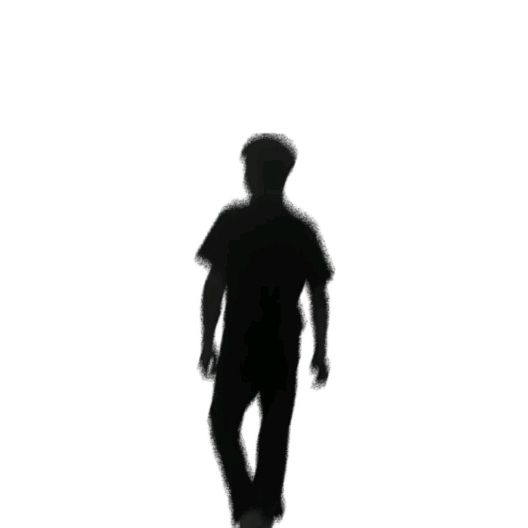 锦       鲤