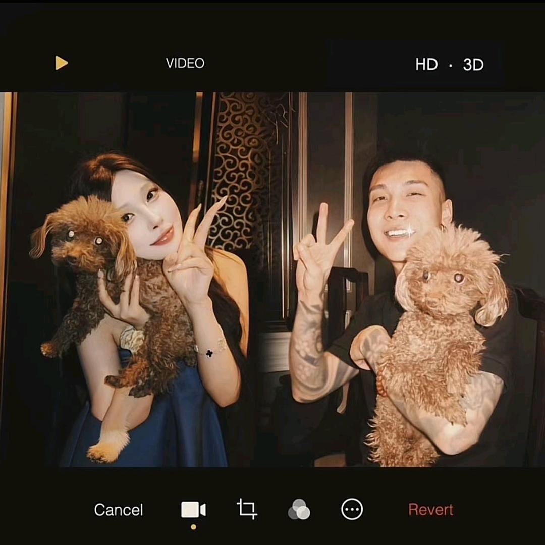 张月鹿