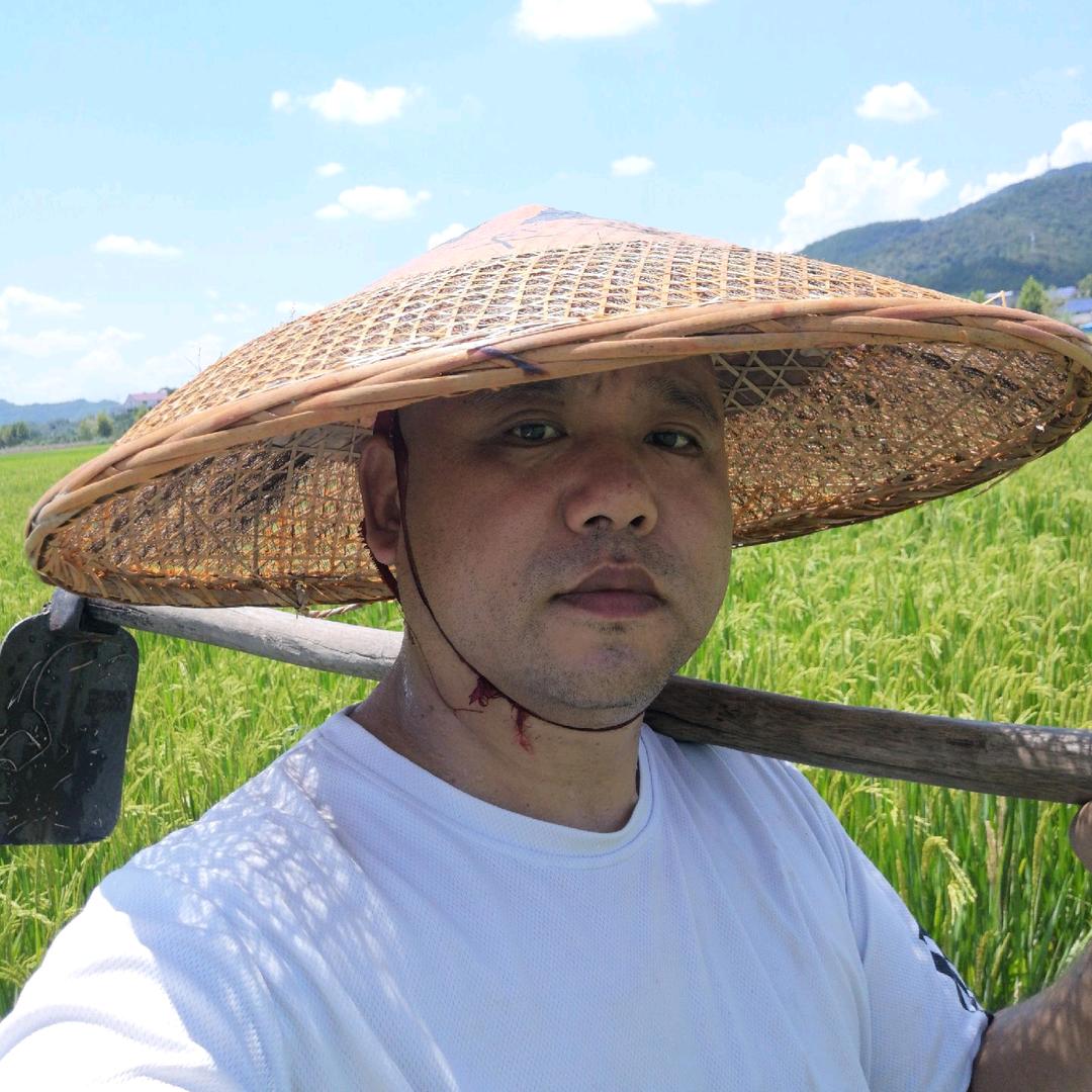 峰哥喂熟食猪