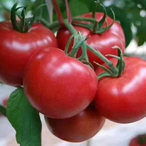 心碎了无痕代代姐🌺🌺🌺🌺🌺