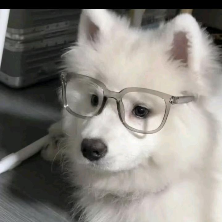 田先森
