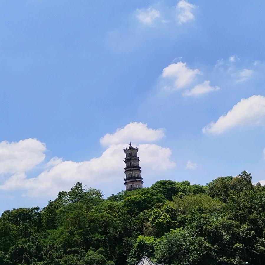 用户1564257854369