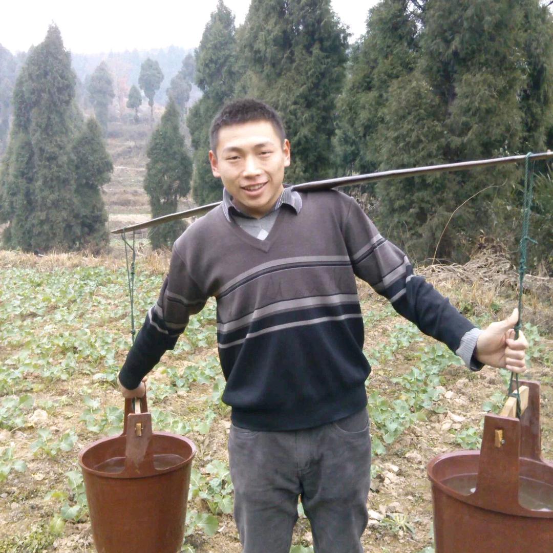 集果良品四川特产水果