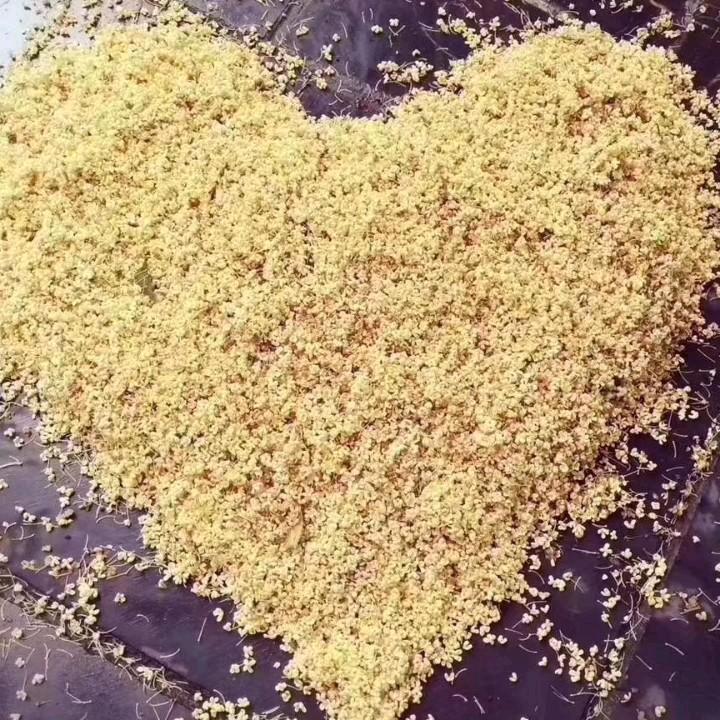 小牛牛。