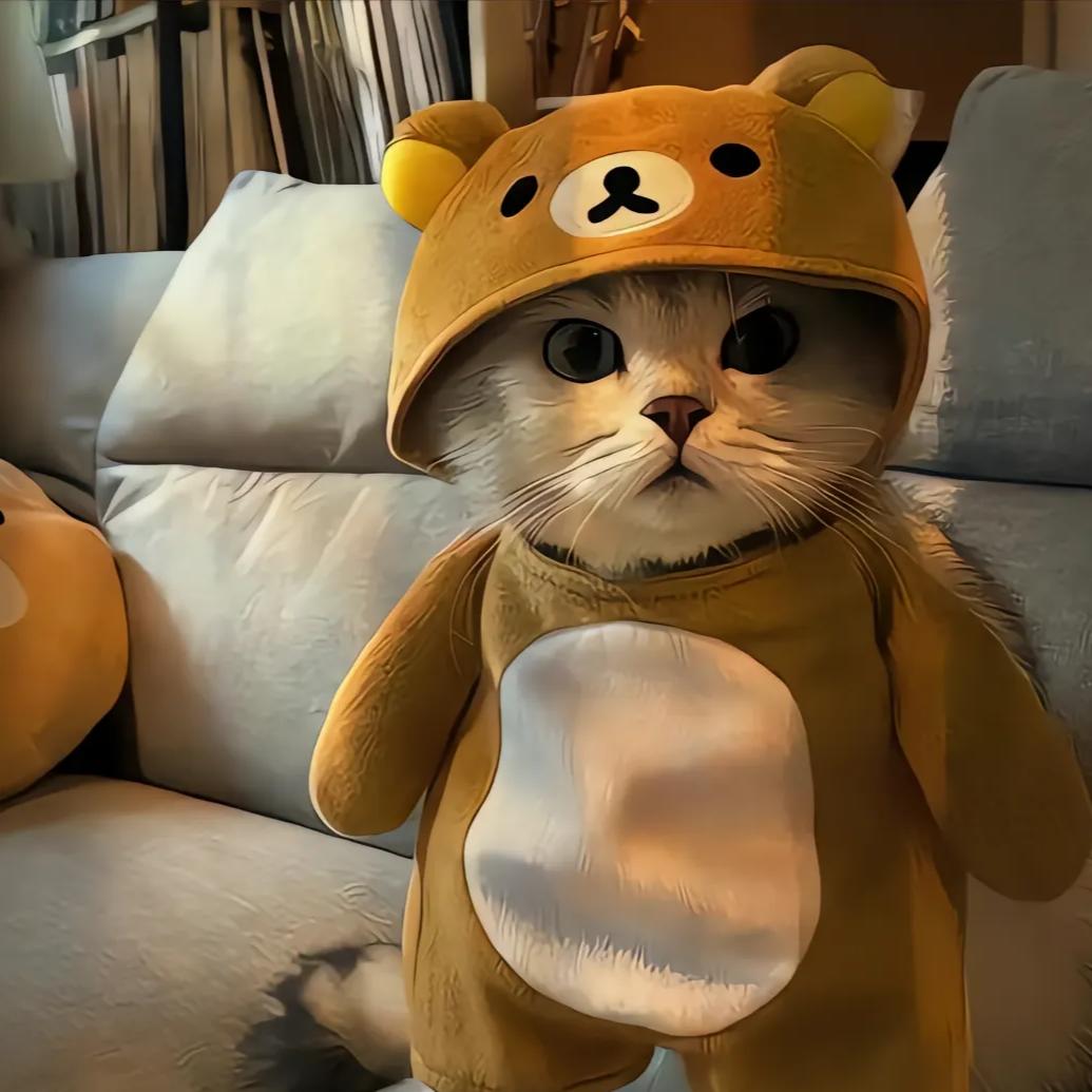 人生如逆旅，我亦是行人