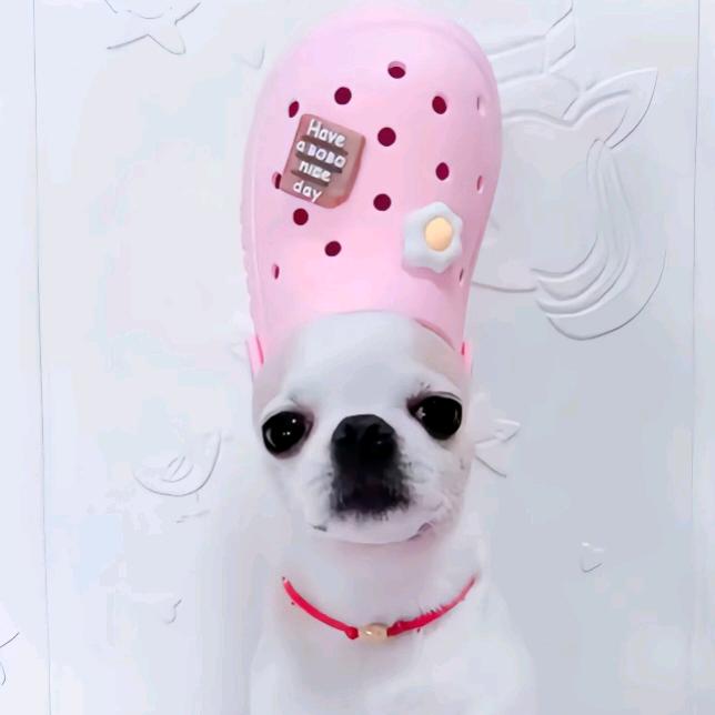 一只臭榴莲