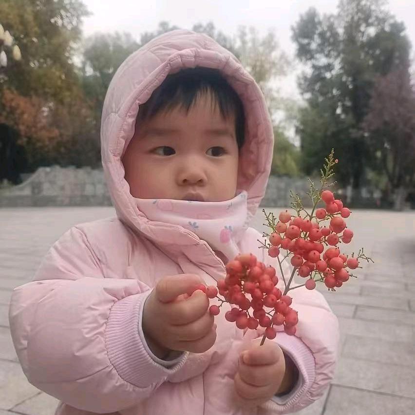 陈玲