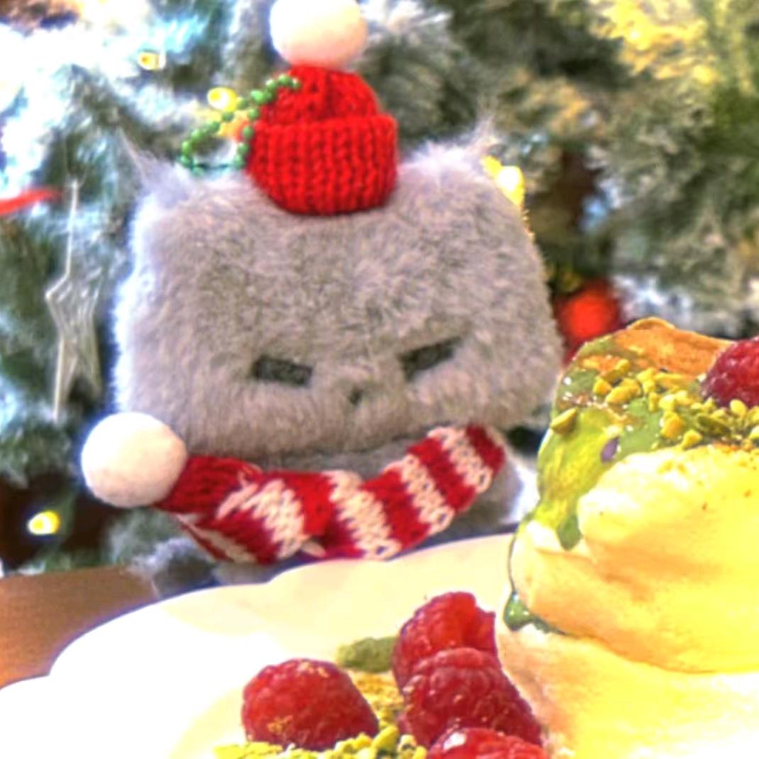 star⭐nineskylars见凯九版