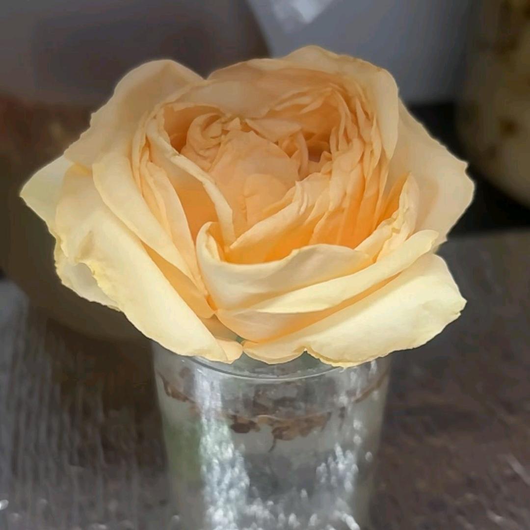 水水水.