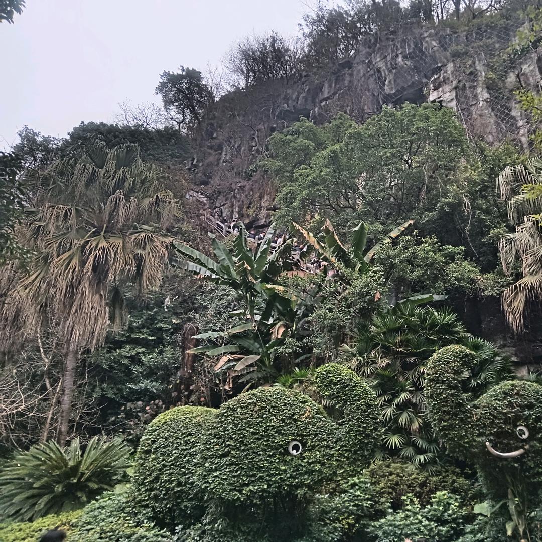 东海养殖哥