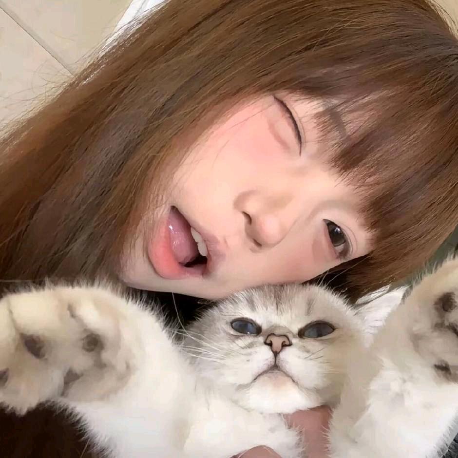 洛宜