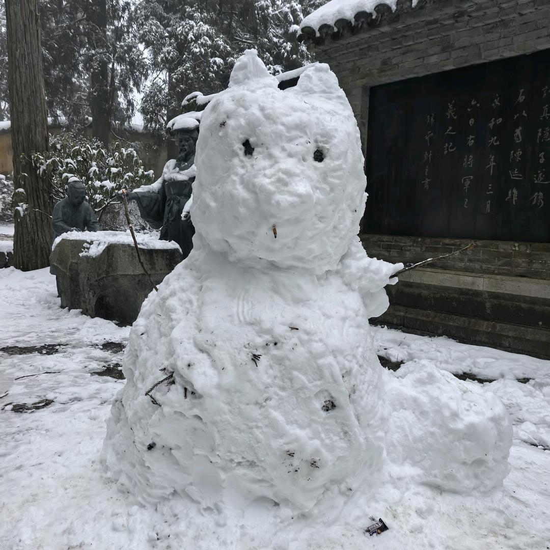 明天会更好😎
