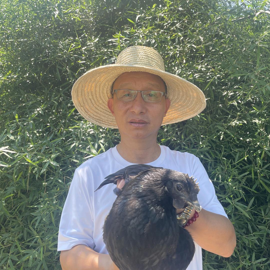 鸡班长老毛