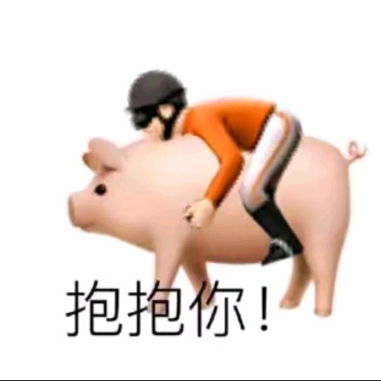 ظظ骑飞猪的男人ظظ