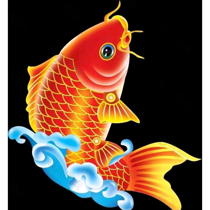 🐟渔翁🐟